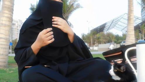 娱乐吃瓜君5,揭秘娱乐圈最新热点,带你领略明星幕后故事